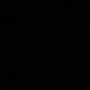 Meet your Posher, Brynne